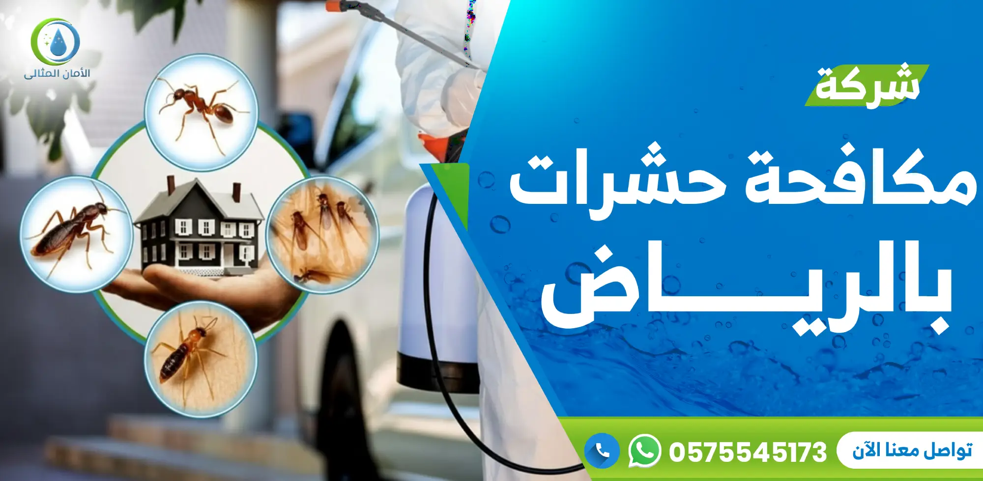 شركة مكافحة حشرات بالرياض